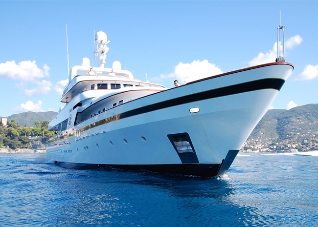ilcigno3