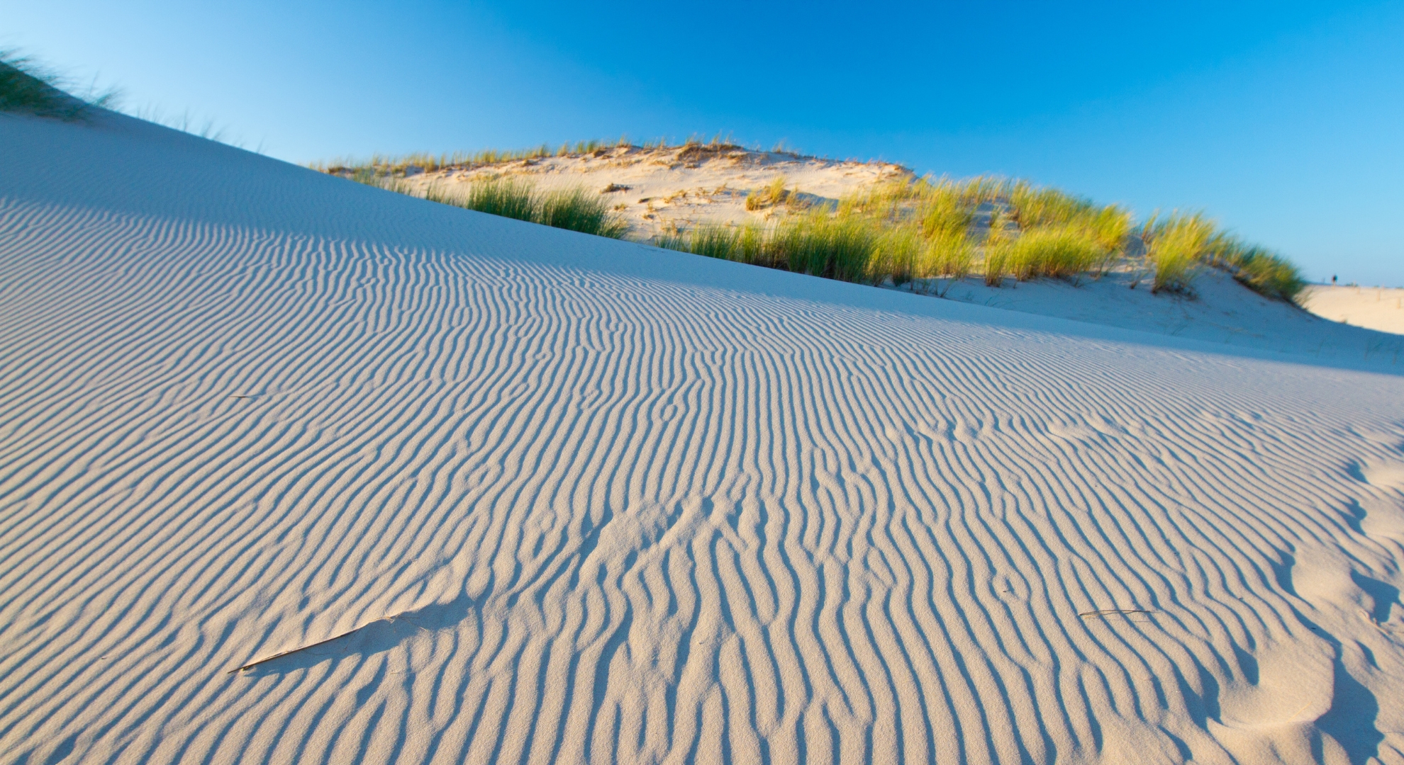 5. Exclusive Experiences - Slowinski national park