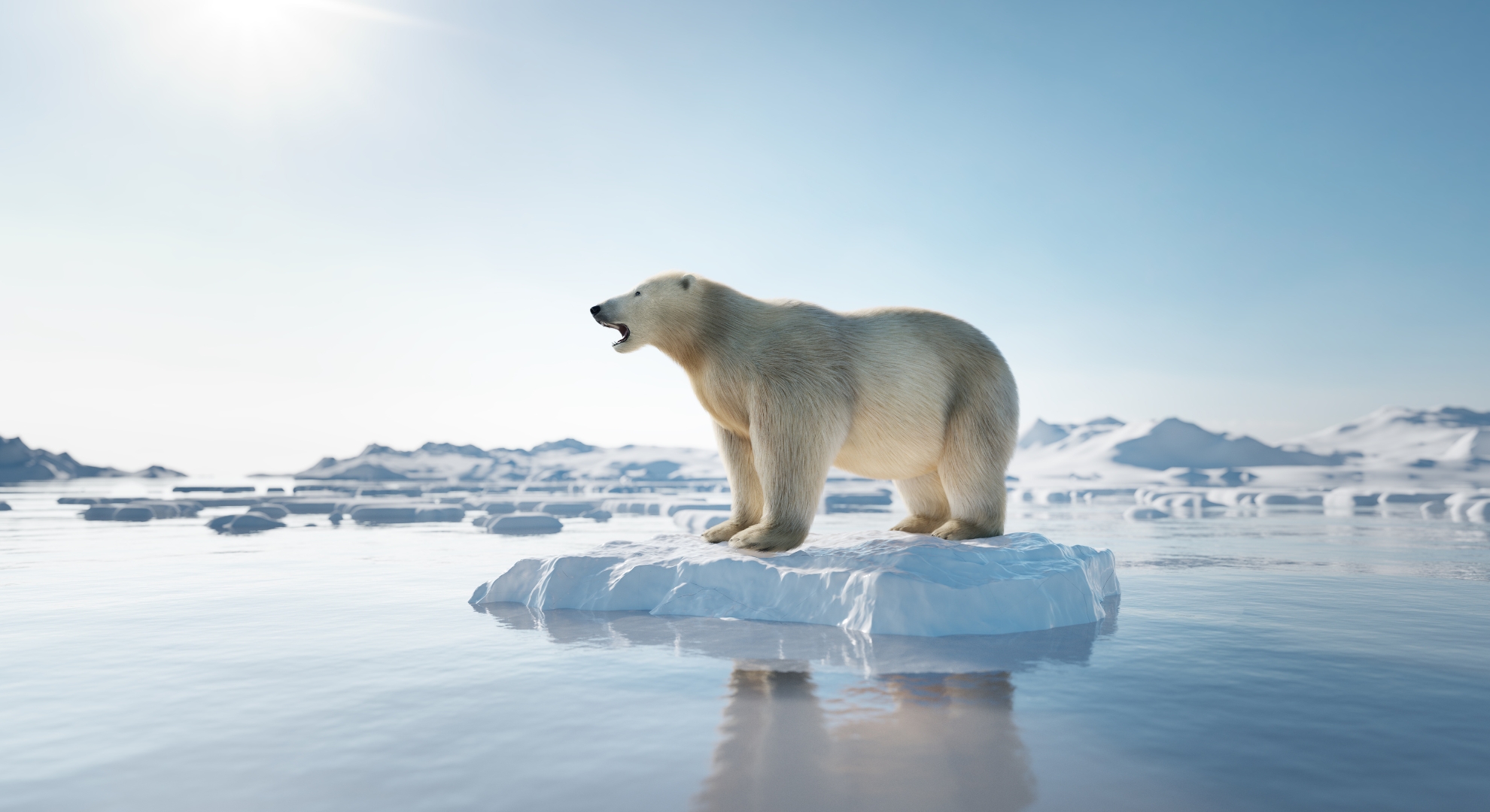 A polar bear on an ice floe in the ocean, highlighting the natural beauty of the Vega Islands' Beach Clubs & Restaurants.