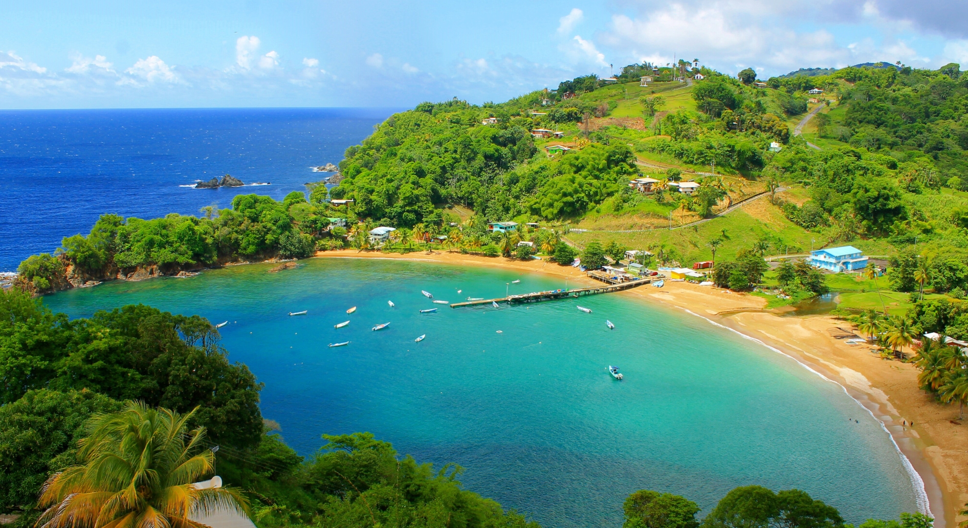 A scenic beach in Trinidad & Tobago featuring boats and lush trees along the shore under a clear blue sky.