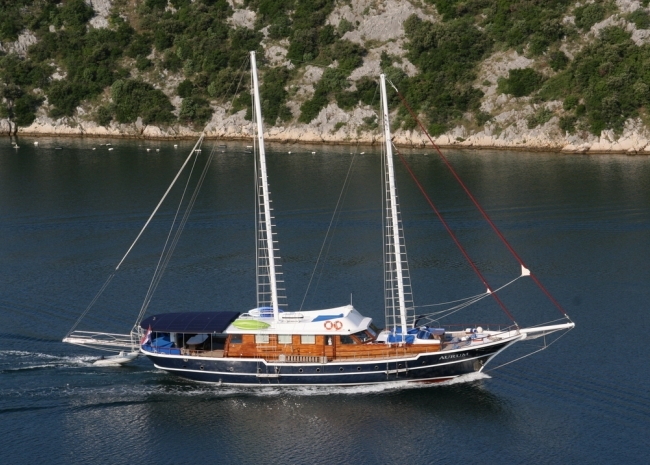 aurum6