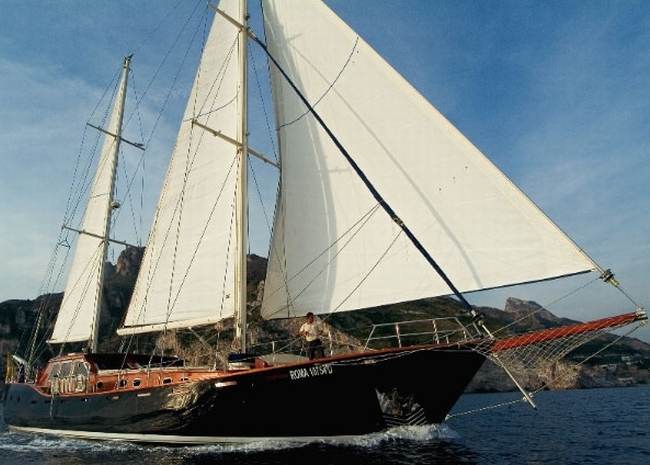 montecristo1