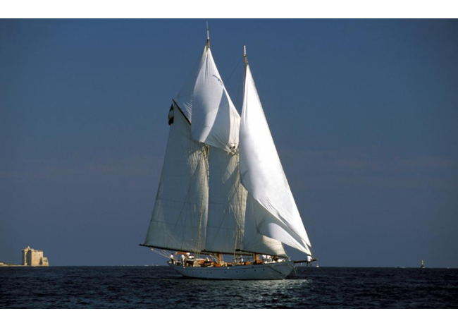 puritan-3 (1)