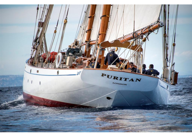 puritan-5 (1)