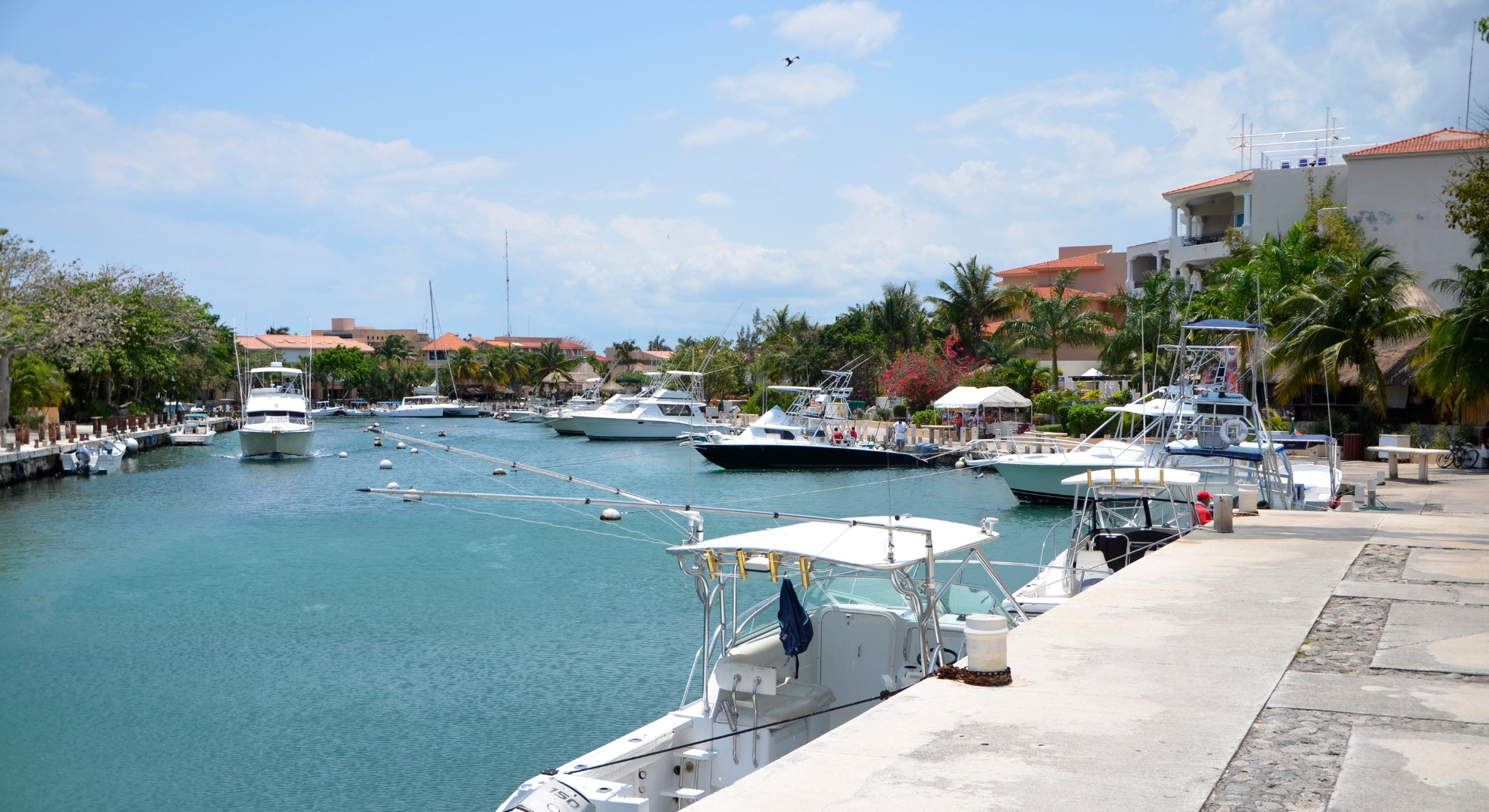 A vibrant marina featuring multiple boats moored in the water, representing Top Marinas & Beach Clubs.